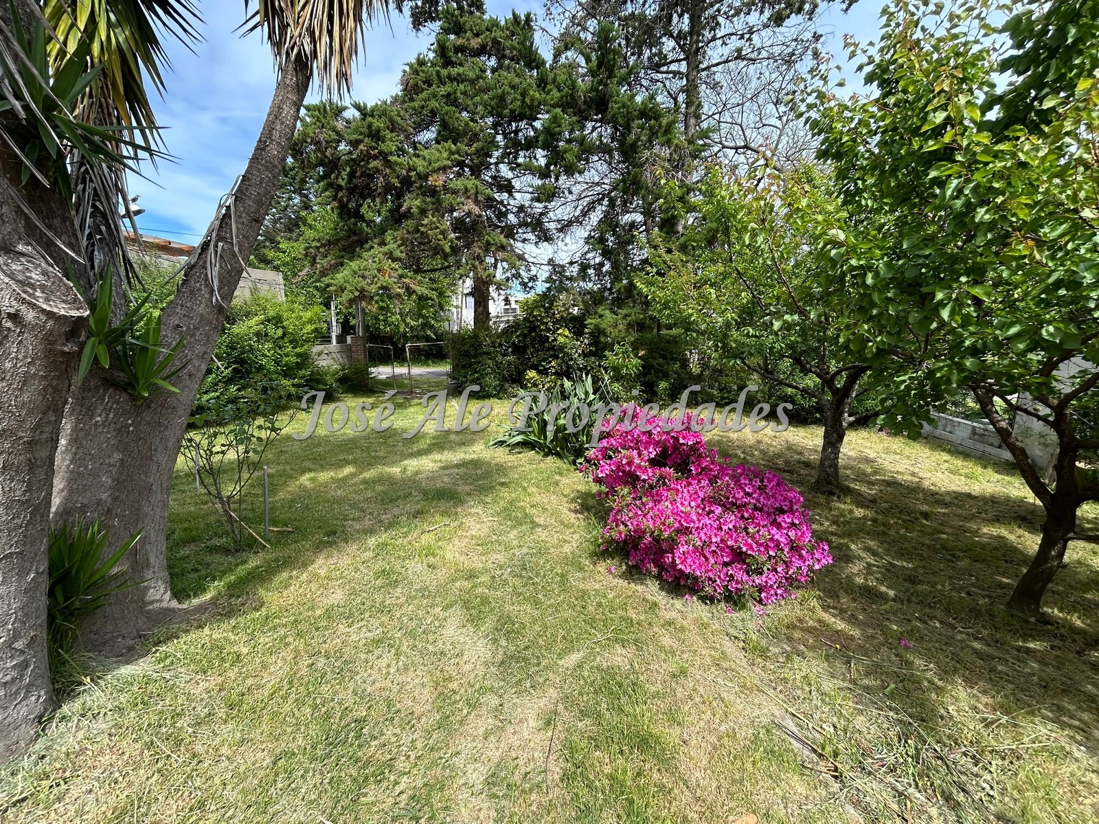 Imagen 4 de Propiedad ubicada a 2 cuadras de la Rambla Costanera y Playas de Colonia.