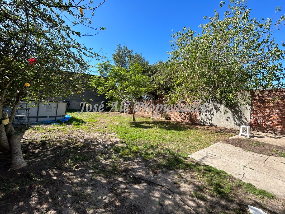 Imagen 10 de A sólo 100 metros de Puerto Comercial (BQB), terminal de ómnibus y Avenida principal Gral. Flores.