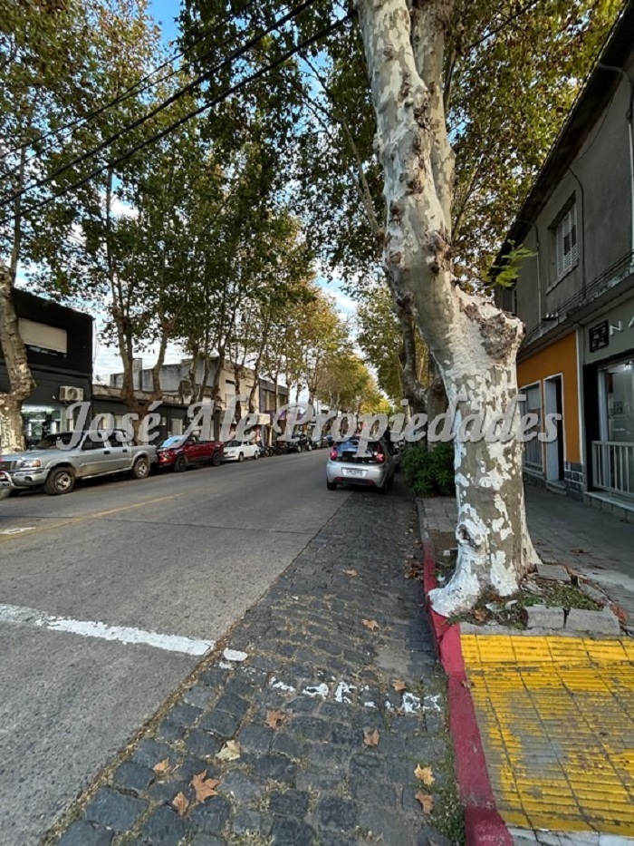 Imagen 8 de 4 Propiedades en un mismo padrón, ubicadas sobre la segunda Av. principal de Colonia, Av. Artigas. IDEAL INVERSIÓN!