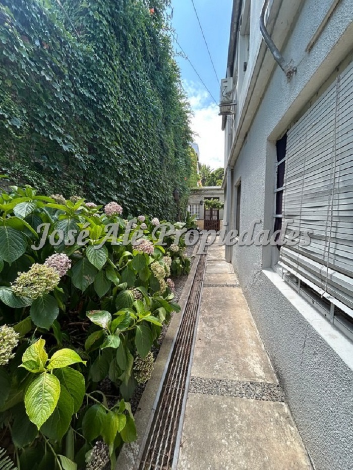 Imagen 5 de Oportunidad!! Complejo de 5 apartamentos.