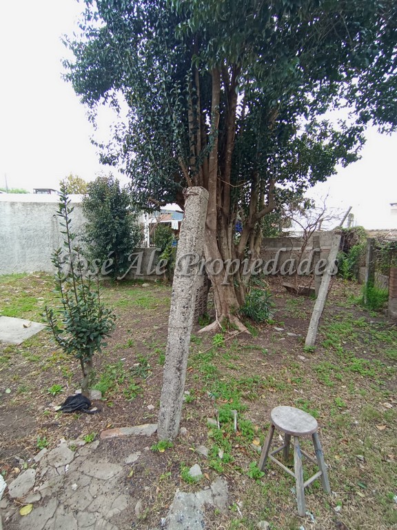 Imagen 10 de Casa ubicada en el Real de San Carlos.