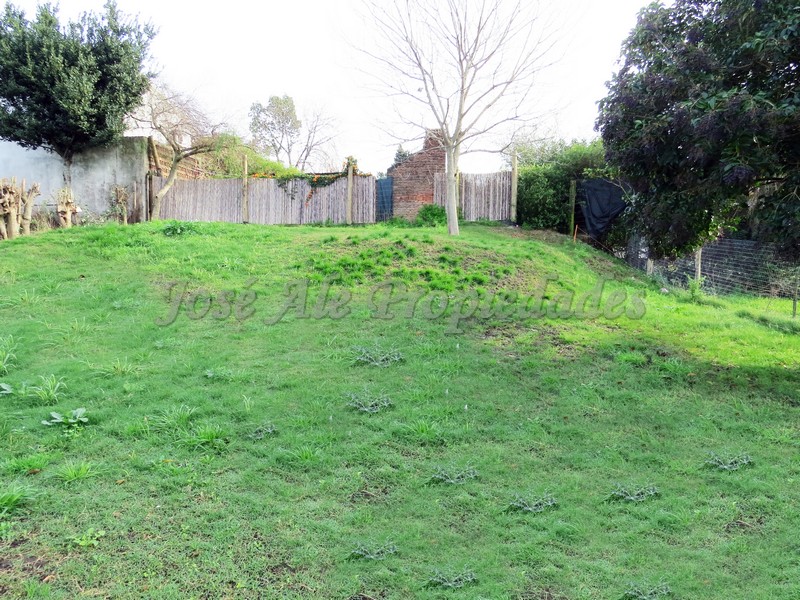 Imagen 7 de Propiedad ubicada a 150 de Rambla Costanera por calle José Enrique Rodó, hermosa zona tranquila y balnearia, próxima a todos los servicios.