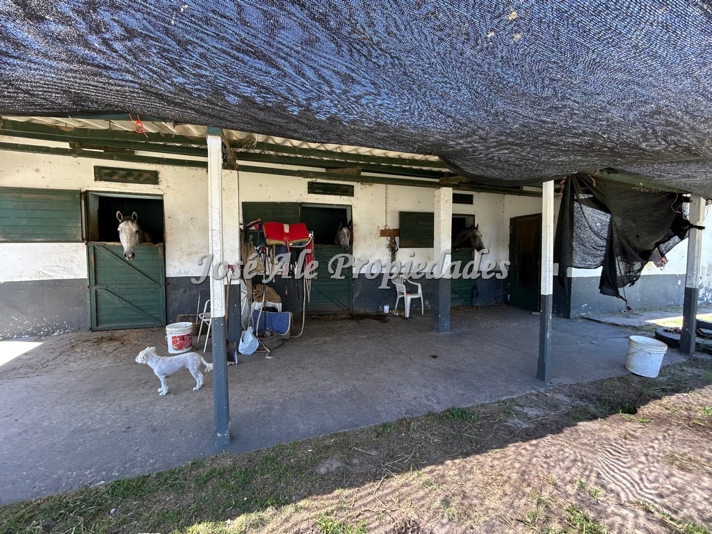 Imagen 9 de Espectacular propiedad sobre un lote de 1700 m2 frente al Hipódromo de Colonia.