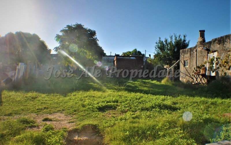 Imagen 9 de Propiedad ubicada sobre calle Municipio (Cortada hacia El General). Próxima a todos los servicios.