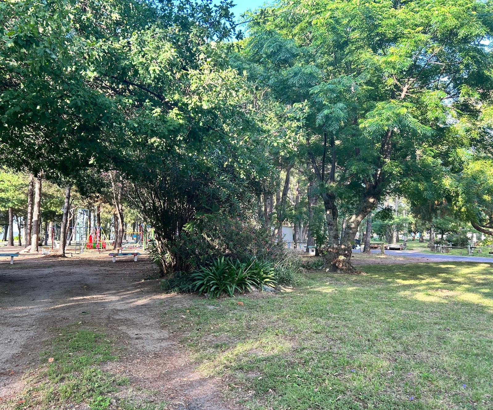 Imagen 10 de Hermosa casa a metros de la Rambla Costanera y playas de Colonia.