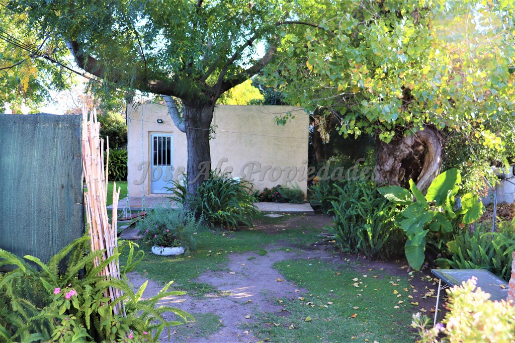 Imagen 8 de Cuatro propiedades en un mismo padrón, Excelente inversión estratégicamente.