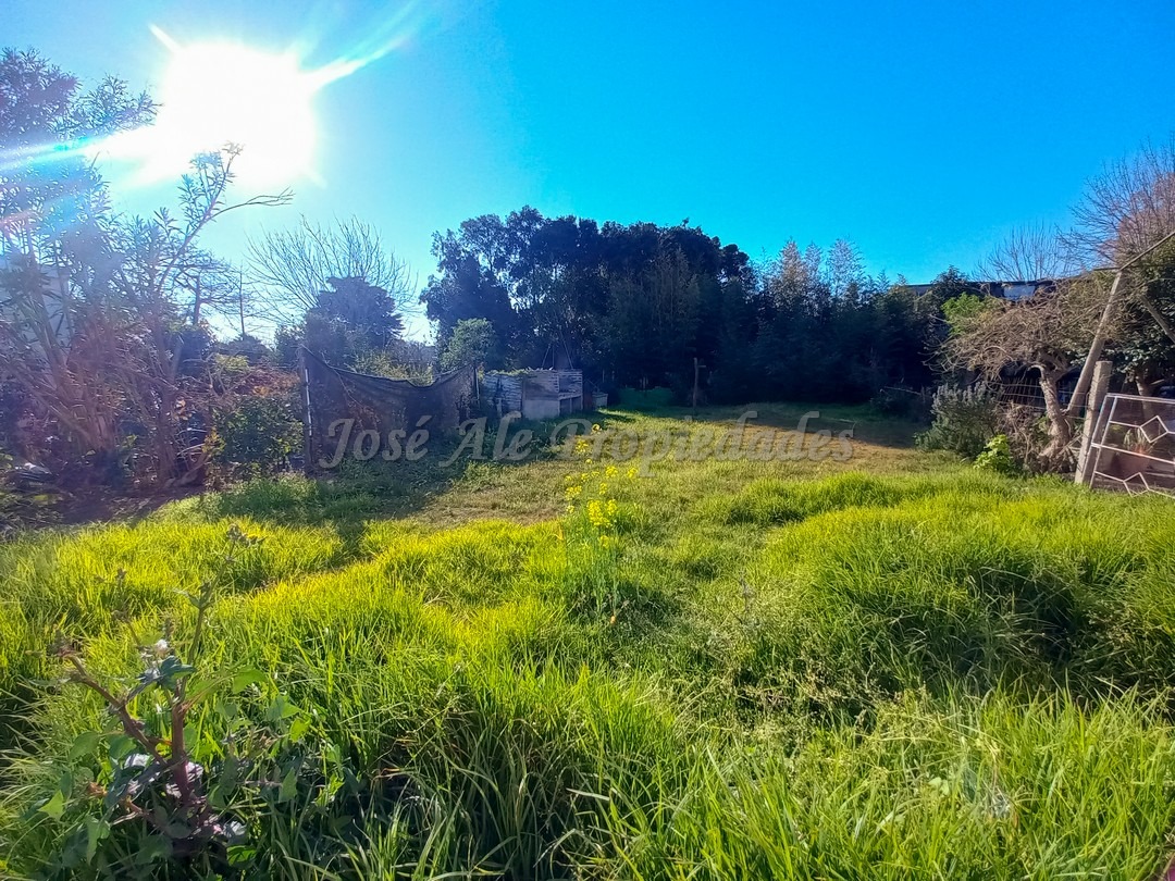Imagen 9 de Casa ubicada en zona tres avenidas, próxima a todos los servicios