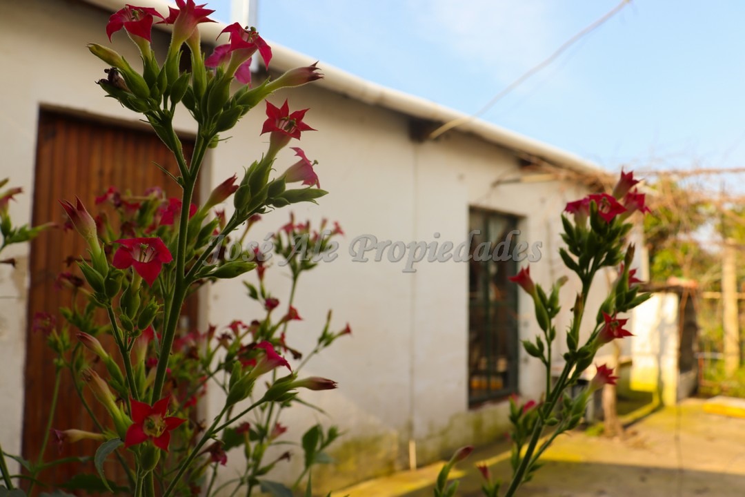 Imagen 1 de Apartamento de un dormitorio ubicado cerca de la Plaza de Toros y próximo a todos los servicios.