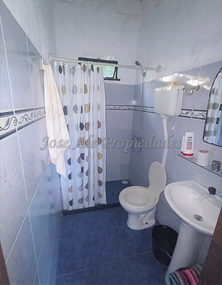 Imagen 7 de Apartamento amoblado.