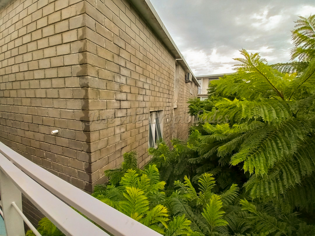 Imagen 10 de Departamento a cuadras de Rambla Costanera y playas de Colonia.