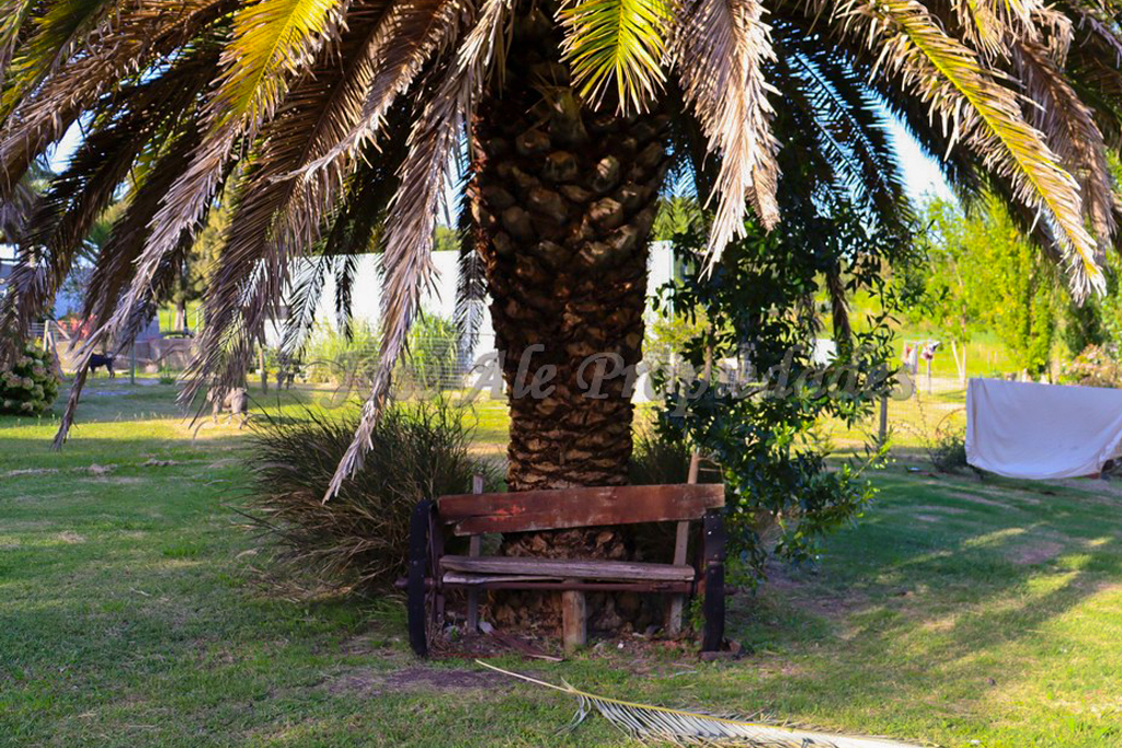 Imagen 10 de Amplio terreno de unos 5.000m2 con una hermosa y cómoda casa ubicada sobre ruta 1.