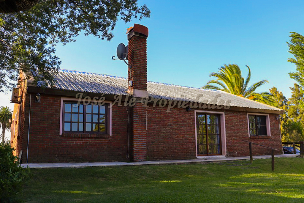 Imagen 9 de Amplio terreno de unos 5.000m2 con una hermosa y cómoda casa ubicada sobre ruta 1.