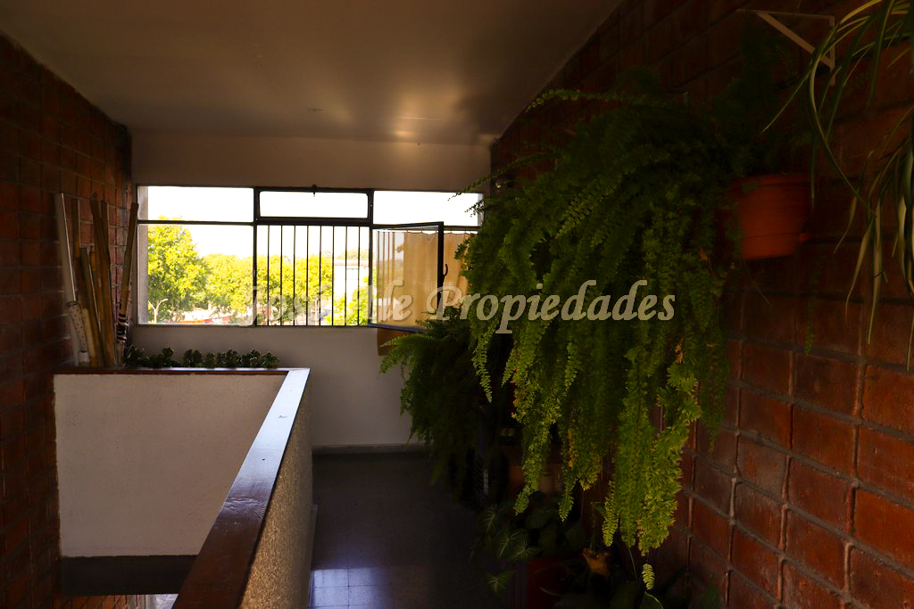 Imagen 8 de Vivienda en Complejo INVE, a metros de Colonia Shopping y zona comercial Tres Avenidas, a pasos de todos los servicios.