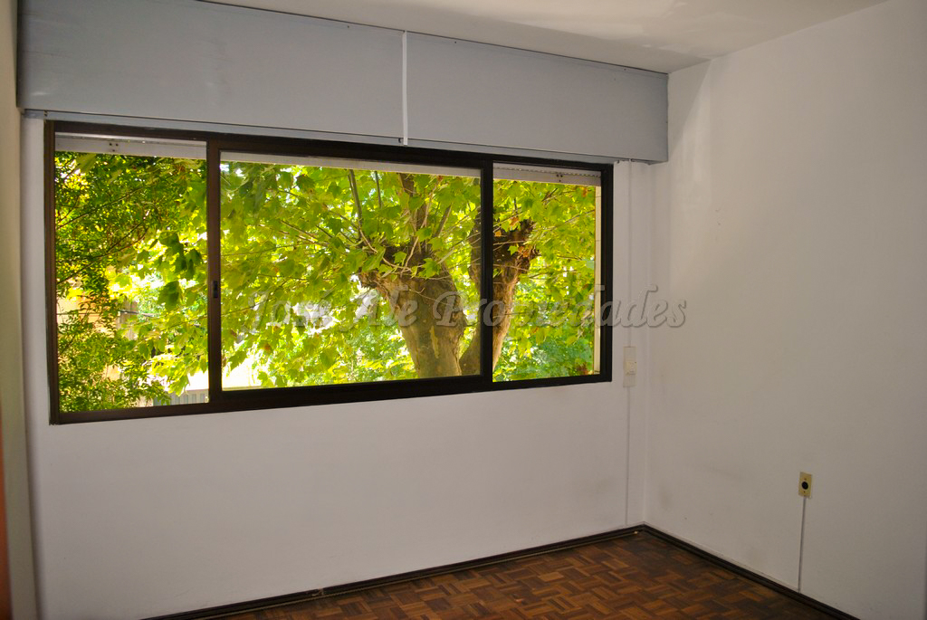 Imagen 4 de Importante propiedad en pleno centro de Colonia sobre Avda. Artigas, a metros de Gral. Flores.