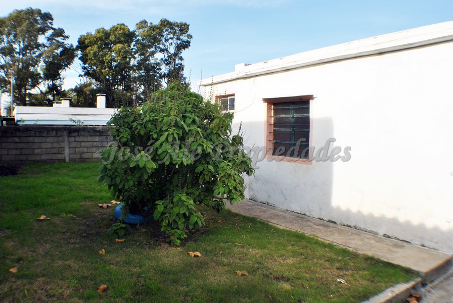 Imagen 1 de Propiedad ubicada en Pueblo Nuevo, a pasos de Colonia Shopping y de todos los servicios.