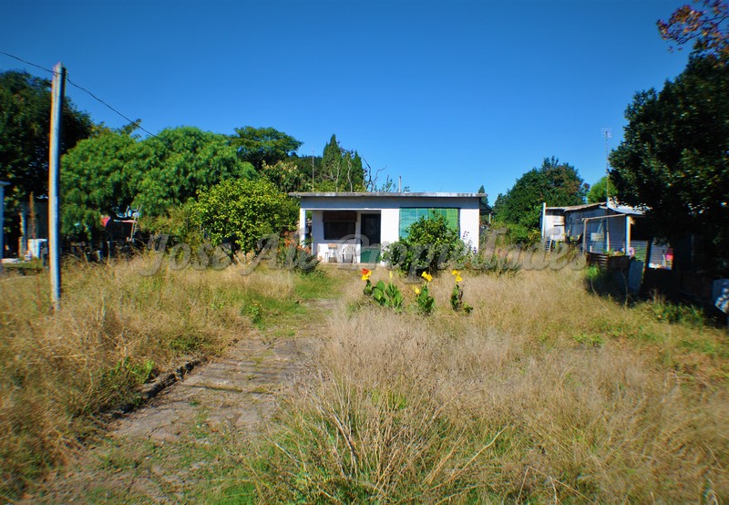 Imagen 9 de Propiedad a reciclar Estratégicamente ubicada a metros de la Avenida Luis Alberto de Herrera, en zona con importante potencial.