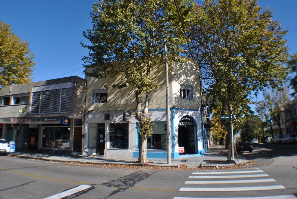 Imagen 10 de Impecable y luminoso departamento ubicado en pleno centro de Colonia del Sacramento.