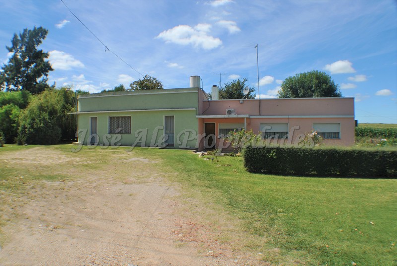 Imagen 1 de Chacra con 5 hectáreas apta para cultivo en Ruta 21.