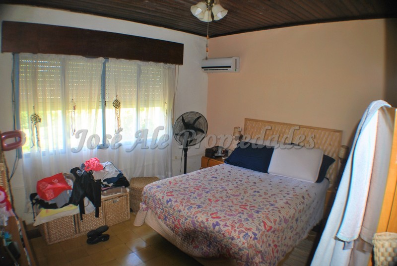 Imagen 5 de Chacra con 5 hectáreas apta para cultivo en Ruta 21.