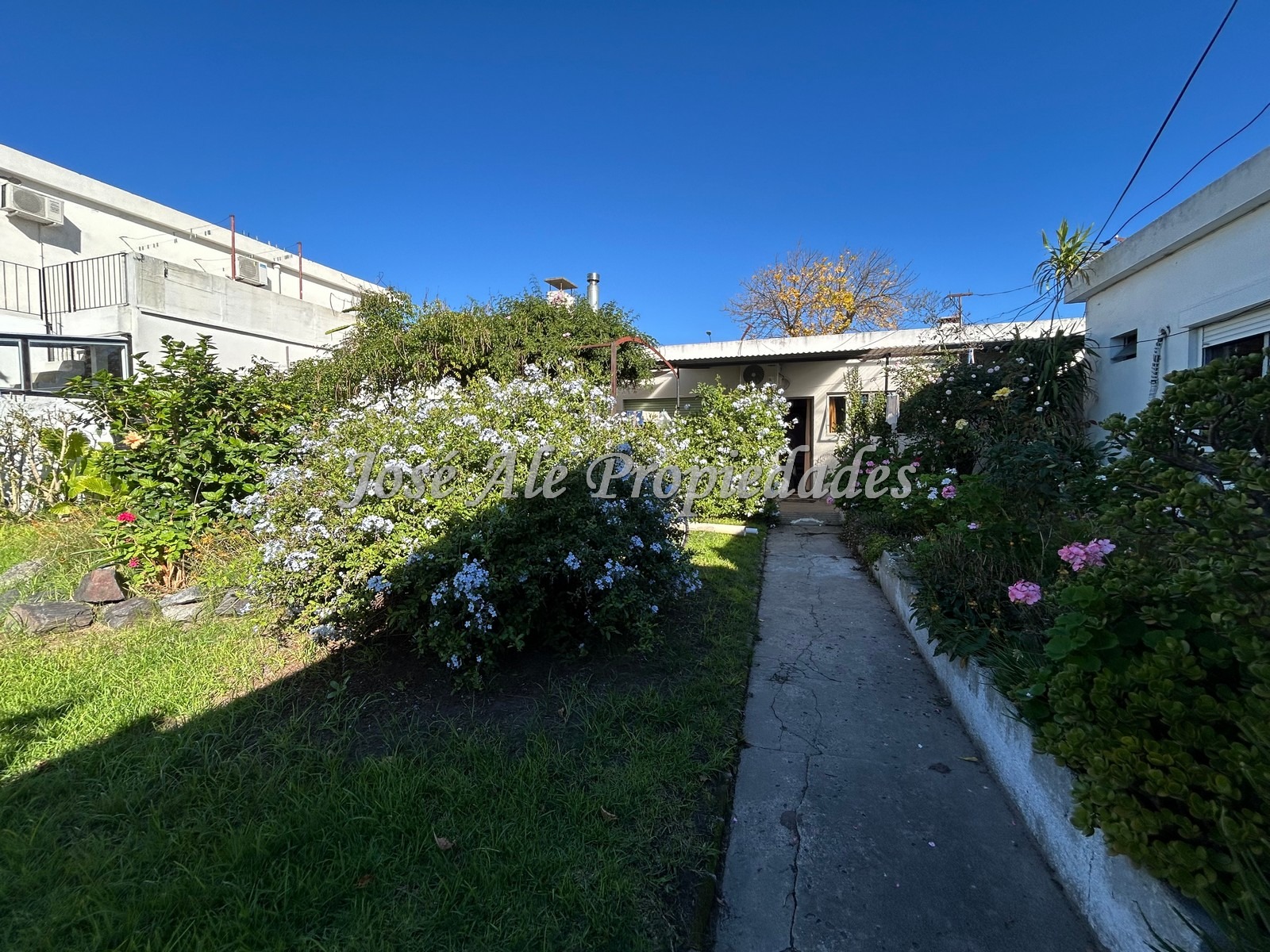 Imagen 8 de EN VENTA Excelente propiedad ubicada en inmejorable lugar sobre una de las principales avenidas de la ciudad de Colonia del Sacramento